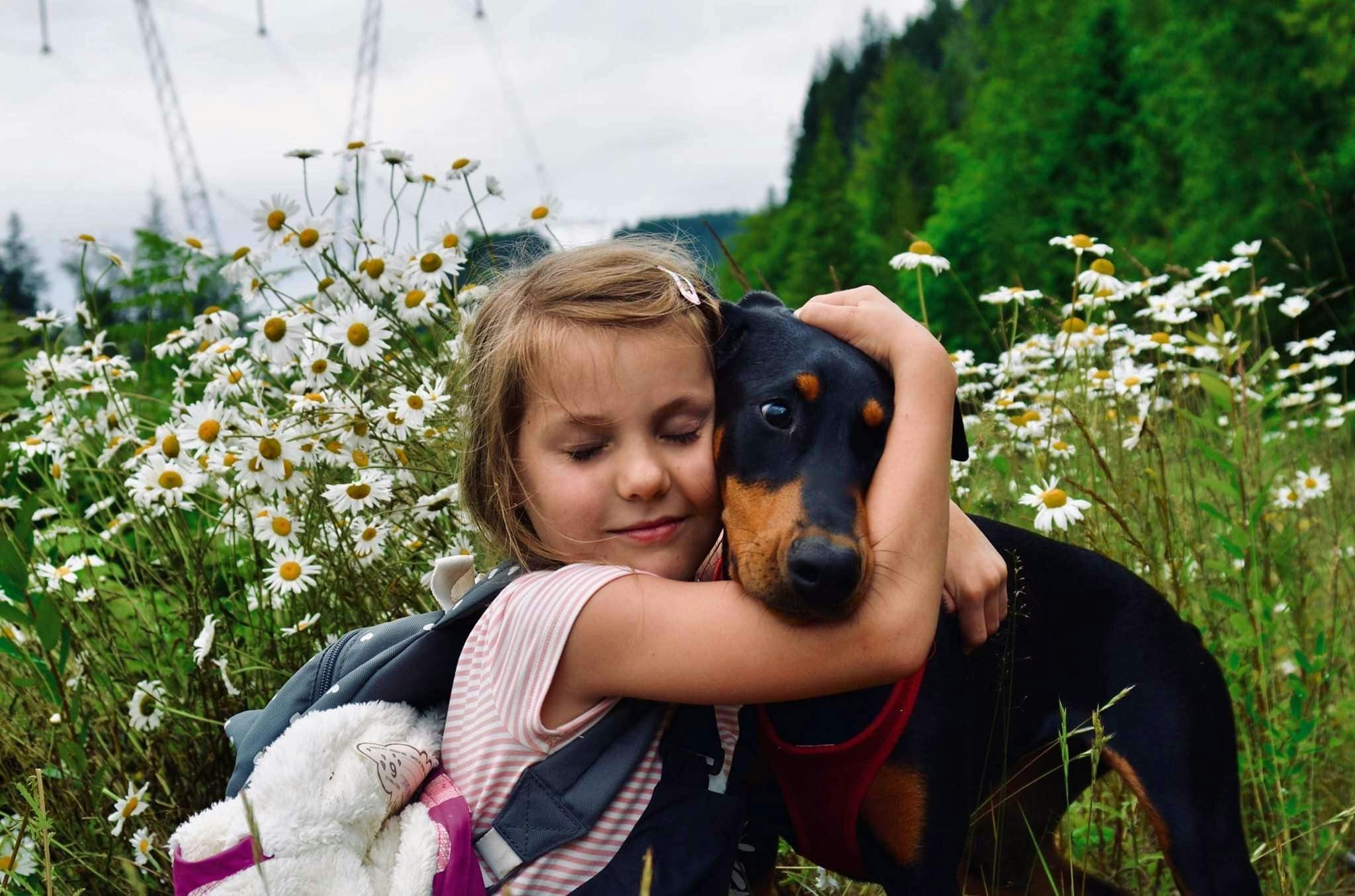 Young girl with Doberman dog